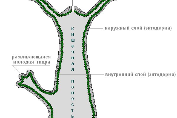 Ссылка на омг через тор